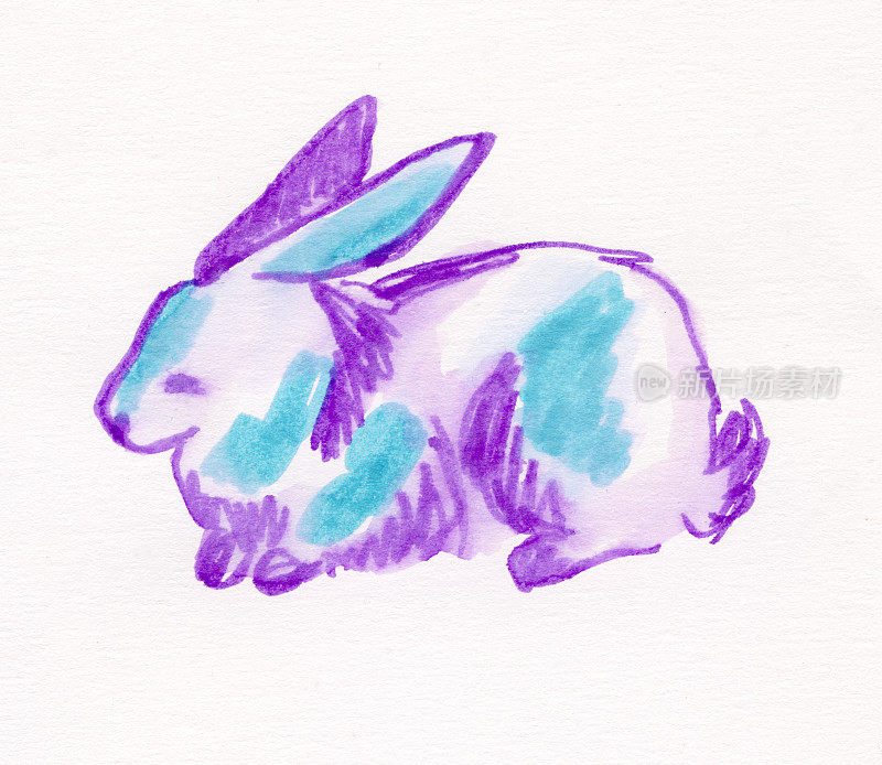 画水彩画的兔子