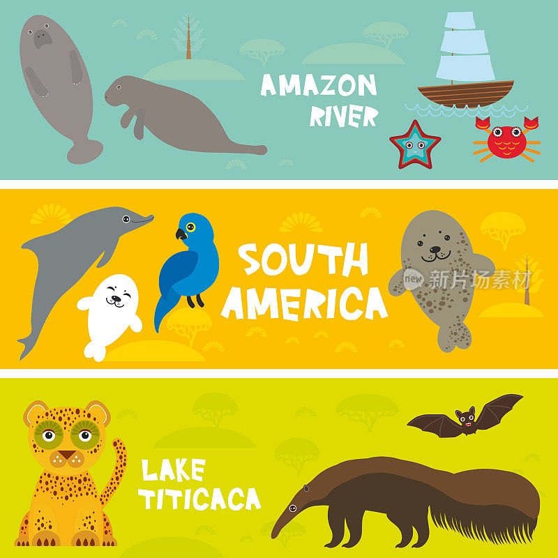 可爱的动物设置食anteater海牛蝙蝠，风信子金刚鹦鹉海豚海豹美洲豹，孩子背景，南美的喀喀湖动物，亚马逊河鲜艳多彩的旗帜。向量