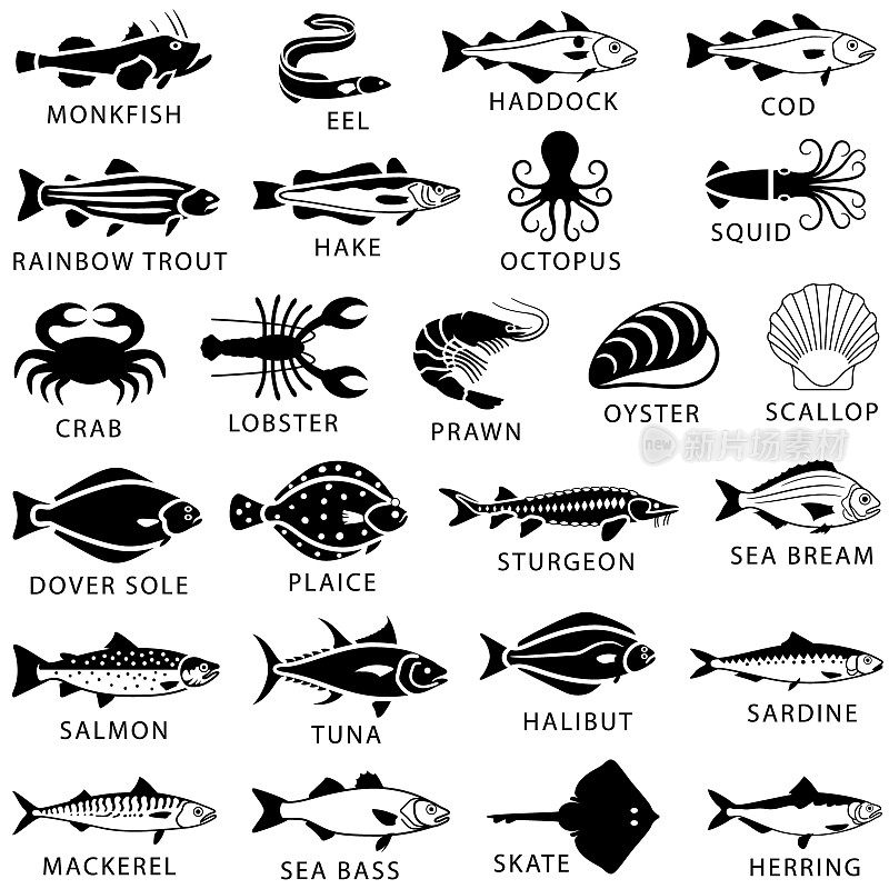 海鲜，鱼和贝类的图标