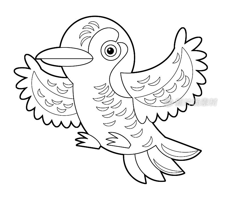 卡通素描澳大利亚动物鸟园丁鸟在白色的背景插图