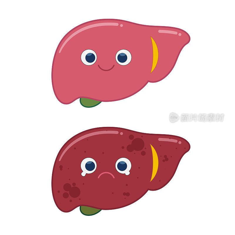 健康肝脏和脂肪肝的比较，肝脏疾病