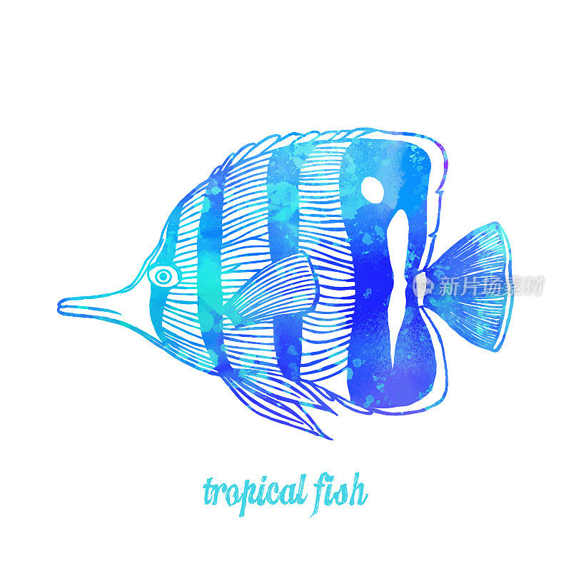水彩多色热带鱼孤立。手工绘制剪贴艺术设计元素标签，名片，传单。