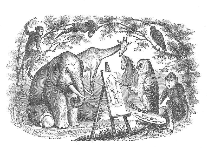 一只猫头鹰画一只大象，古董雕刻插图