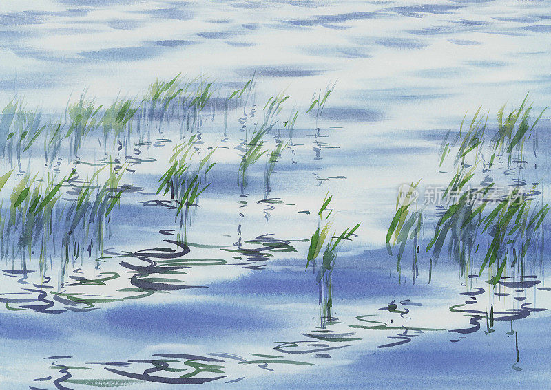 水草倒影在湖的水彩背景