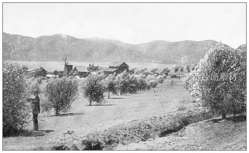 古色古香的加州旅行照片:农业