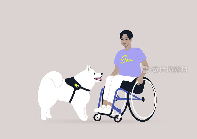 一个年轻的亚洲男性角色坐在轮椅上和一只小狗玩耍，这是一个友谊的概念