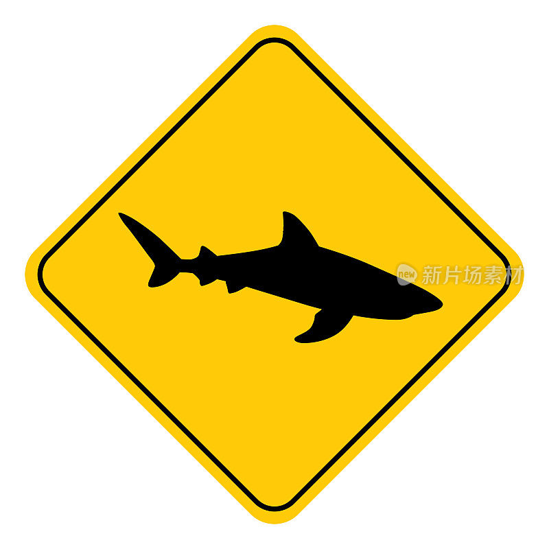 鲨鱼游泳路标