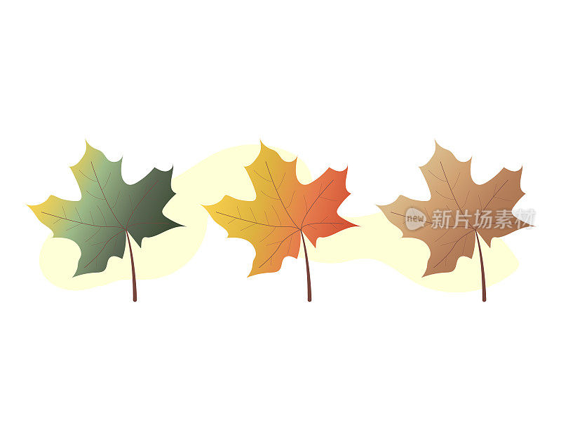 收集五颜六色的秋叶。秋天温暖明亮的色彩插画