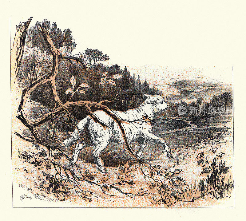 暴风雨中迷失在树林中的羔羊，19世纪维多利亚时代的基督教寓言艺术