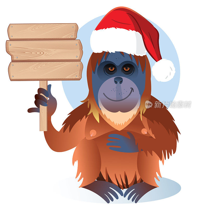 戴着圣诞帽的猩猩