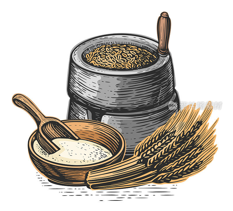 麦穗、面粉、磨石。矢量插图。把谷物种子加工成面粉以供烹饪
