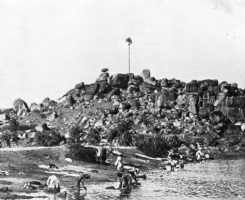 1895年印度的人物和地标:塞昆德拉巴德的一棵树山