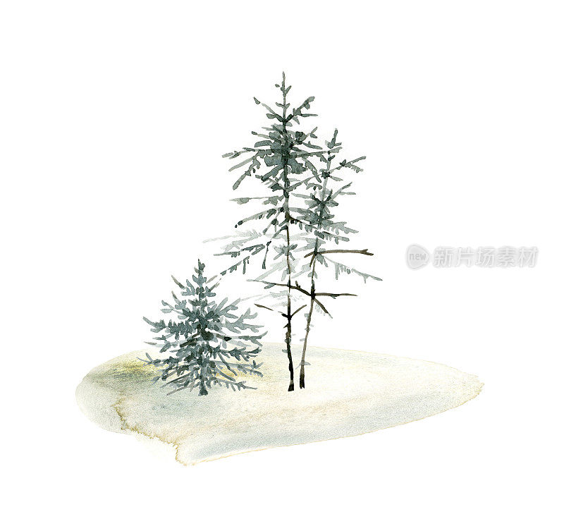 绿色森林云杉树，冬季圣诞水彩插画