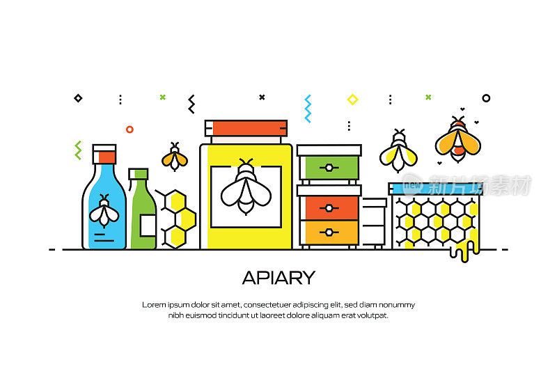 APIARY相关的线风格横幅设计的网页，标题，小册子，年度报告和书封面