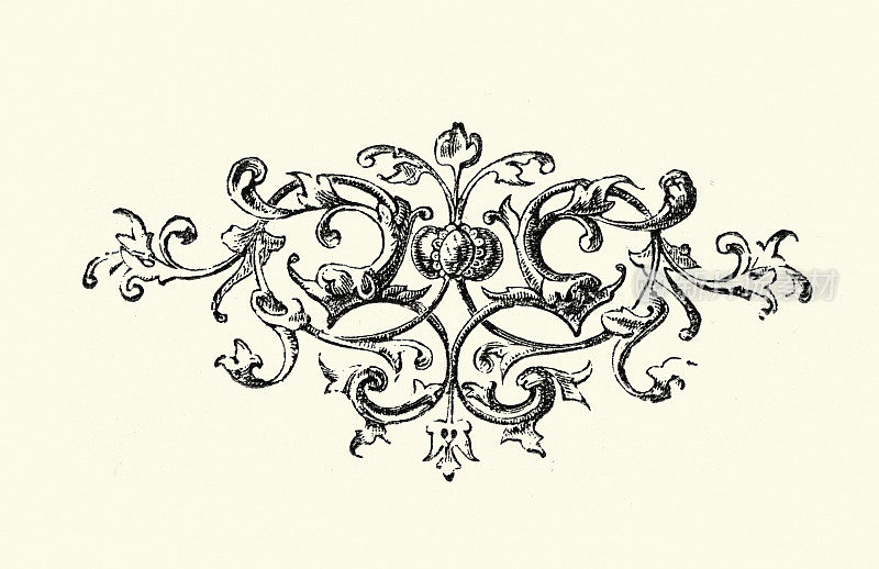复古插图维多利亚设计元素卷轴花卉图案,19世纪