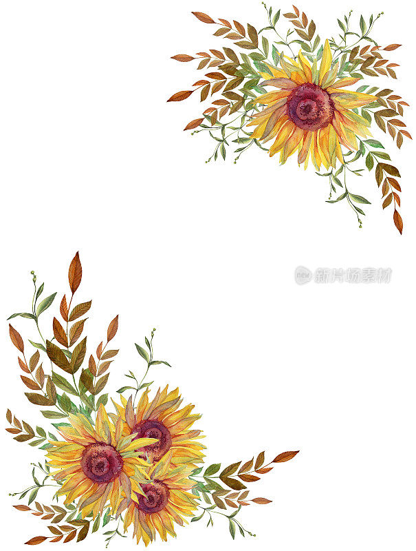 水彩花束与花向日葵和树枝与树叶孤立在白色的背景。用于框架或纺织品的手绘剪贴画。贺卡和婚礼庆典邀请或包装墙纸