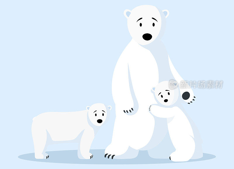北极熊一家漂浮在破碎的浮冰上。南极洲的野生动物
