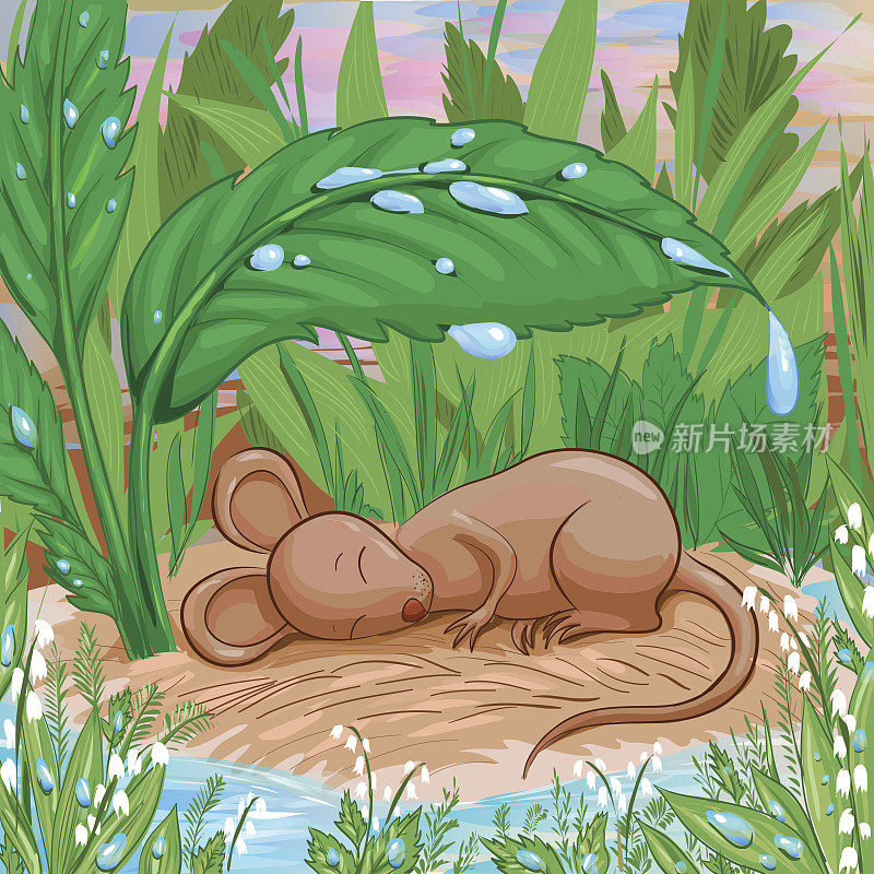 雨中，一只老鼠在一块干燥的土地上睡觉。