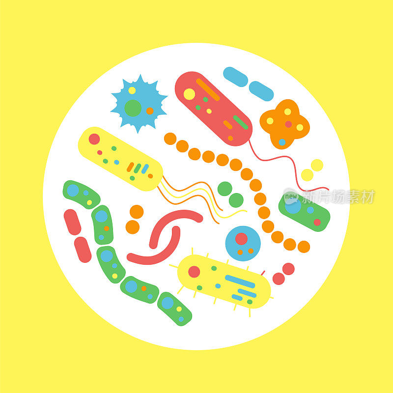 细菌微生物循环