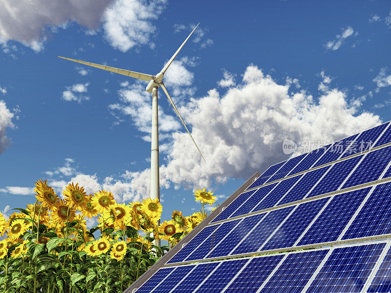 风力涡轮机，太阳能电池板和向日葵