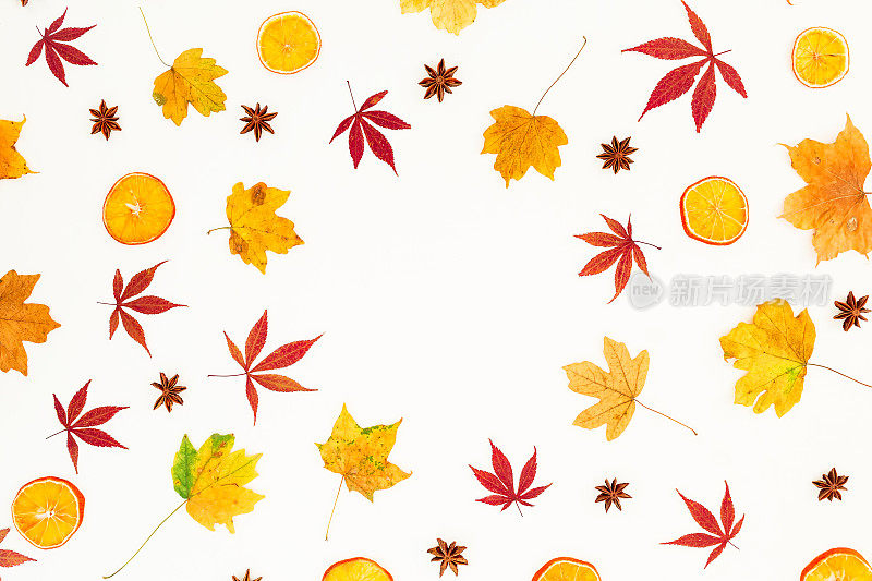秋天圆圆的组成了秋天的枫叶，干橙和星星在白色的背景。平躺，俯视图。