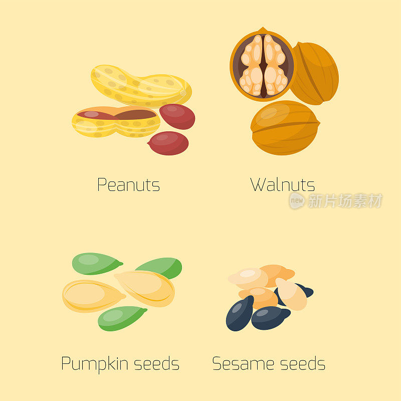 成堆的不同坚果开心果，榛子，杏仁，花生，核桃，栗子，美味的种子矢量插图