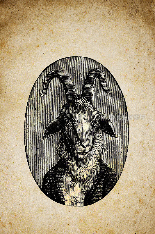 人性化动物插图:山羊肖像