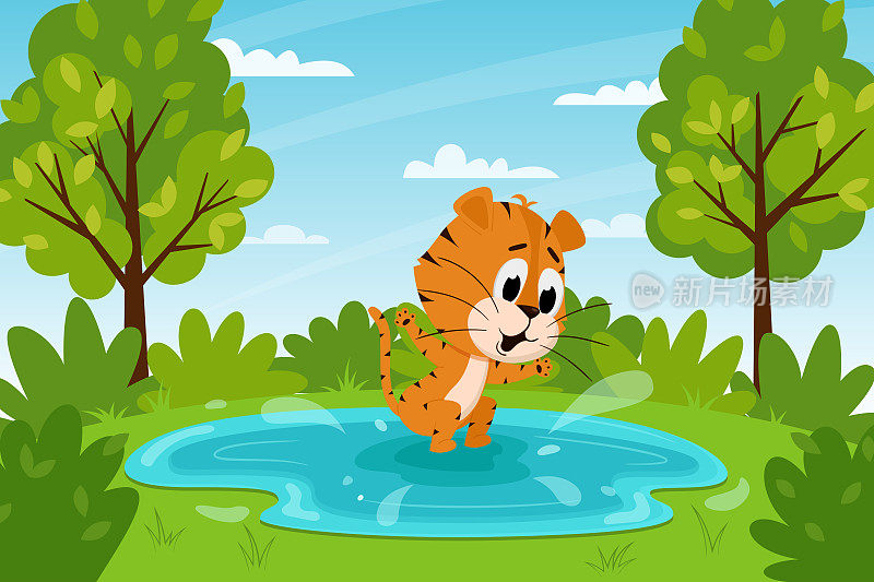 可爱的卡通老虎在水坑里跳跃或在湖里游泳。夏天的风景。一年的象征。动物的性格。颜色矢量插图的孩子。平的风格