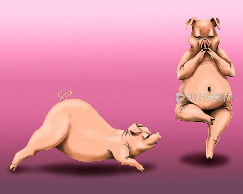 猪做瑜伽