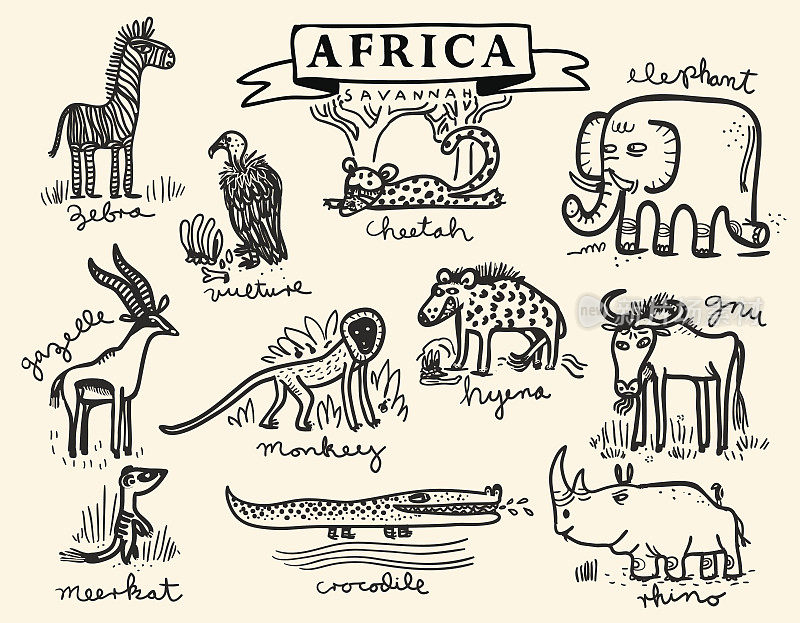 非洲动物组2