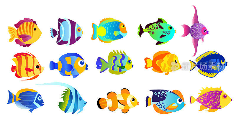 矢量插图一套明亮的颜色热带鱼孤立在白色背景在平面卡通风格。