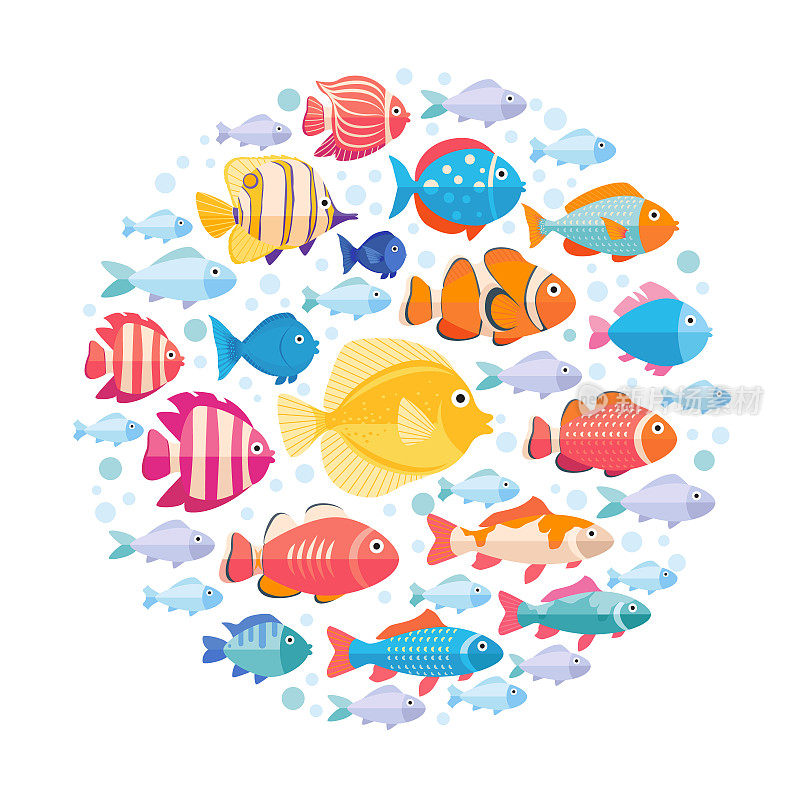 彩色水族箱鱼设置在圆圈矢量孤立。热带鱼类收藏