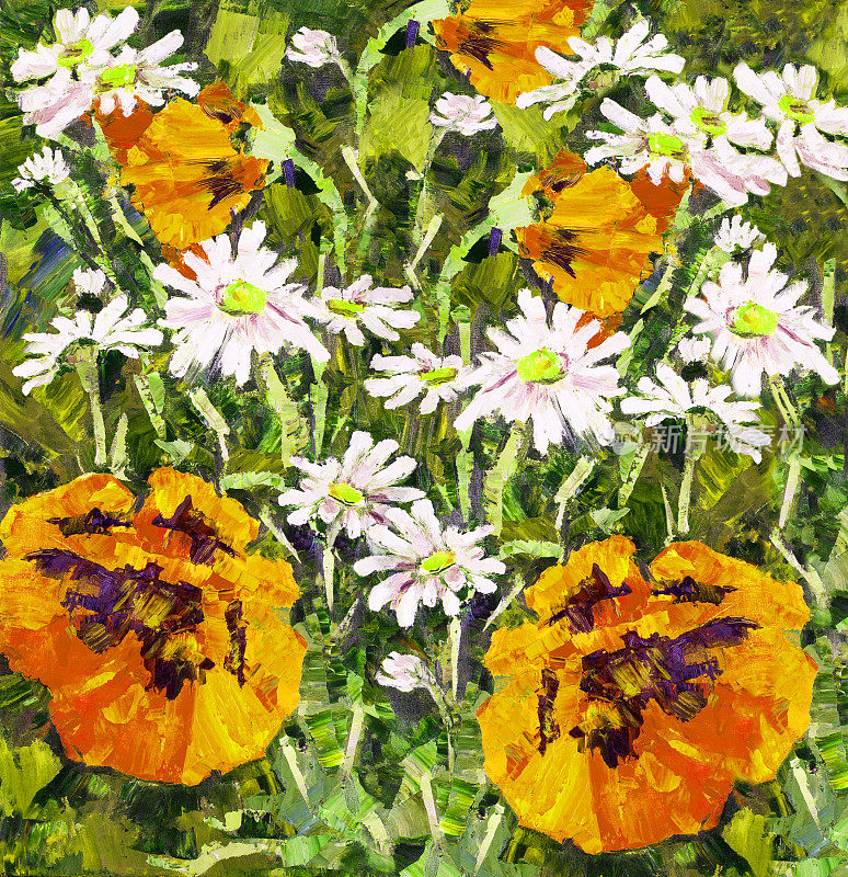 插图油画鲜花猩红的罂粟和雏菊盛开在自然的环境中，在一个绿色的背景草芽其他植物的茎叶
