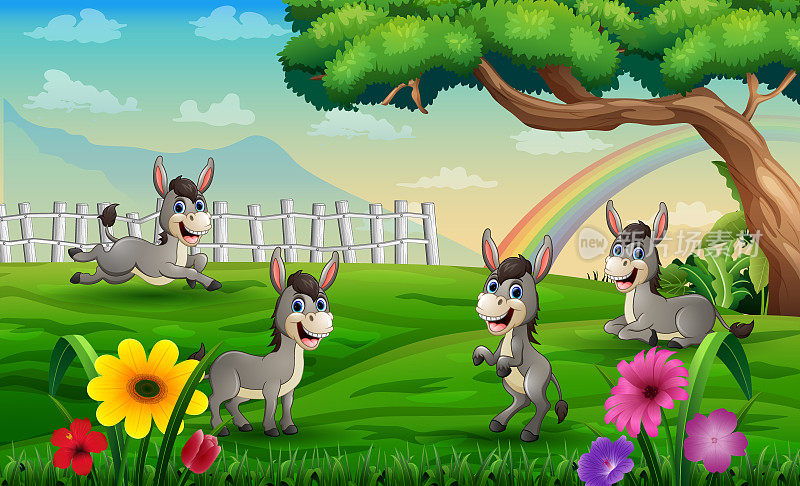 彩虹背景下四只驴子在草地上玩耍