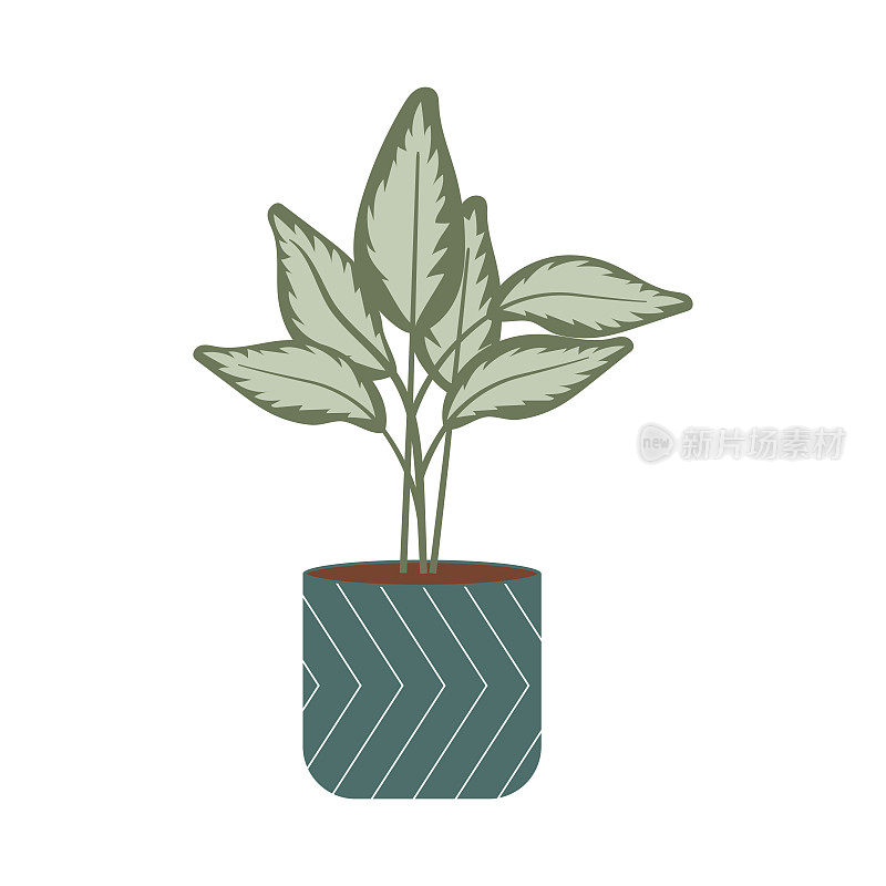 盆栽房子植物与大绿叶矢量平插图。室内盆栽植物。家庭和办公室室内装饰。