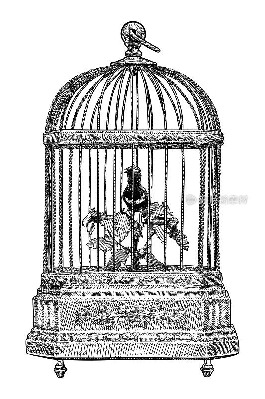 矢量画的古董鸟在一个笼子音乐盒