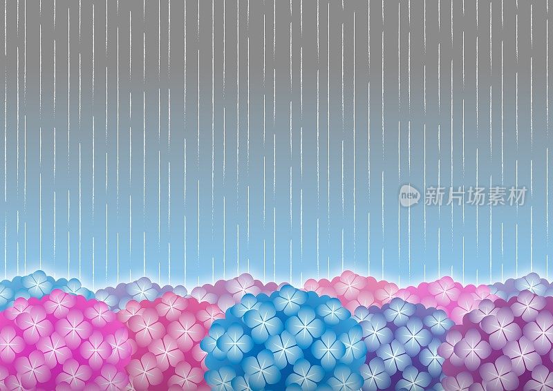 雨滴落在绣球花上的背景插图