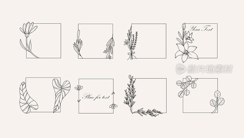 花的边界。手绘线条植物元素框架。花卉装饰，婚礼请帖装饰，卡片和海报设计对象，矢量当代植物集