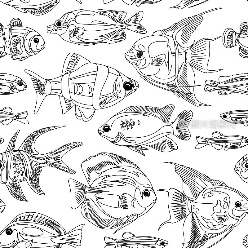 无缝图案与黑色和白色的鱼孤立在白色的背景。水下生命的插图。
