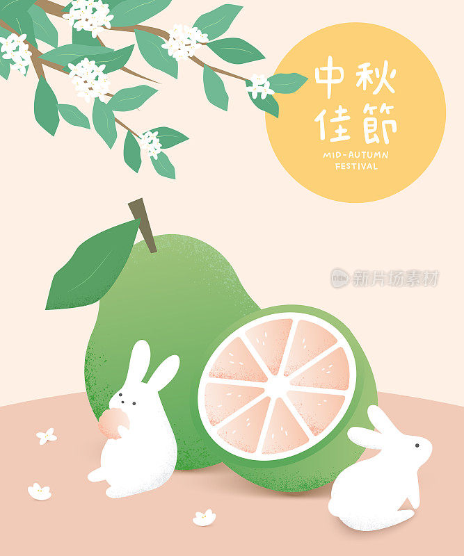 手绘中秋兔子和柚子插图。