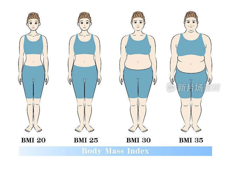 胖女人减肥前后。矢量插图隔离在白色背景上。根据BMI指数，年轻女性的体型变化。