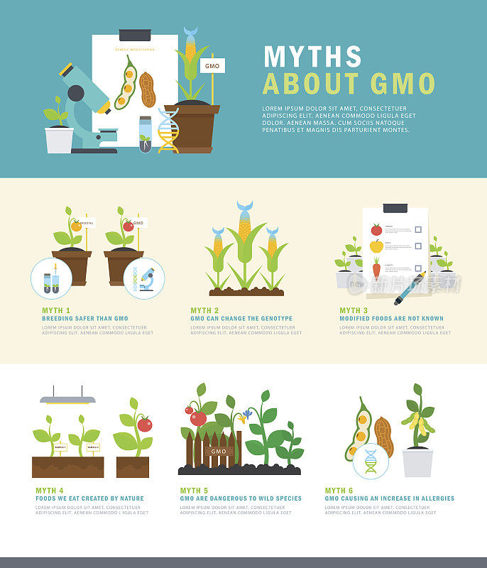 关于转基因神话。彩色矢量信息图表与插图和简单