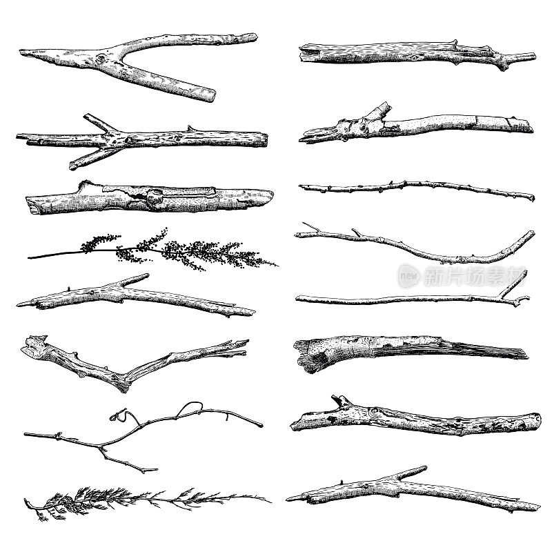 套浮木，底层手绘墨水乡村设计元素收集。干树枝和木枝。复古的高度详细的经典墨画捆绑艺术雕刻风格。向量。