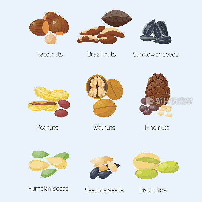 成堆的不同坚果开心果，榛子，杏仁，花生，核桃，美味的种子矢量插图