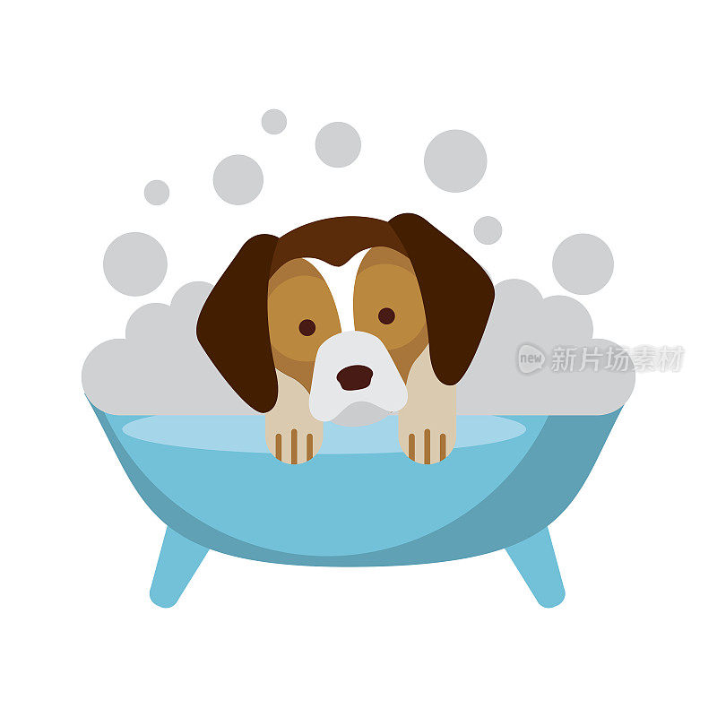 可爱的狗在浴缸洗澡