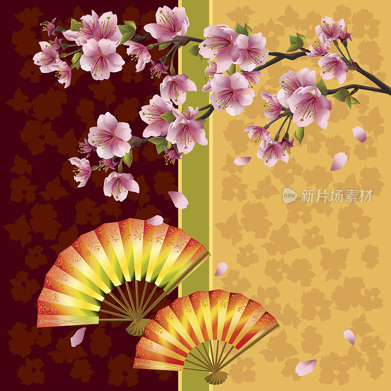 日本背景樱花，樱桃树和扇子