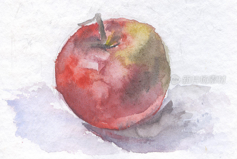 苹果水果的彩色水彩画