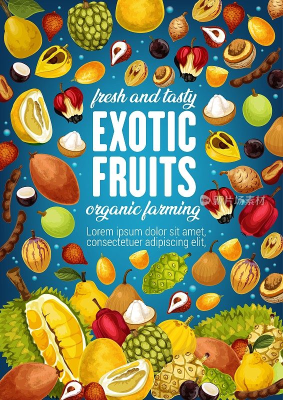 异国情调的热带水果，热带农贸市场海报