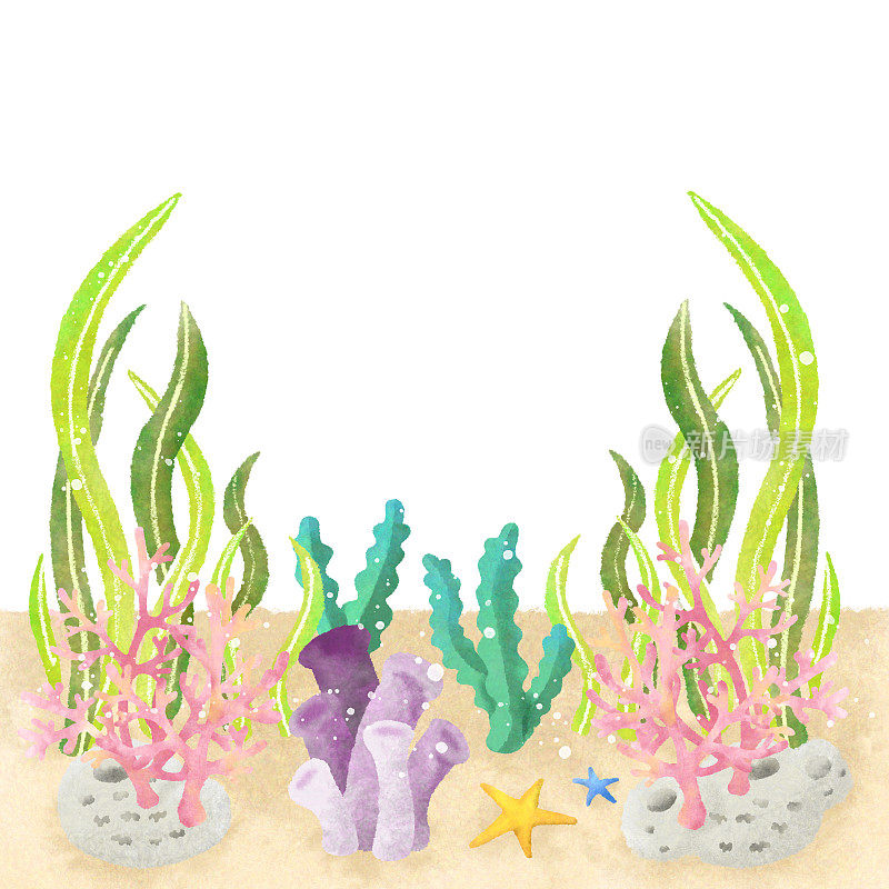 南海珊瑚和海藻插图