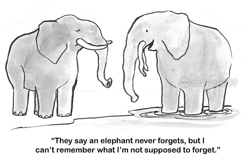 大象必须记住要忘记什么